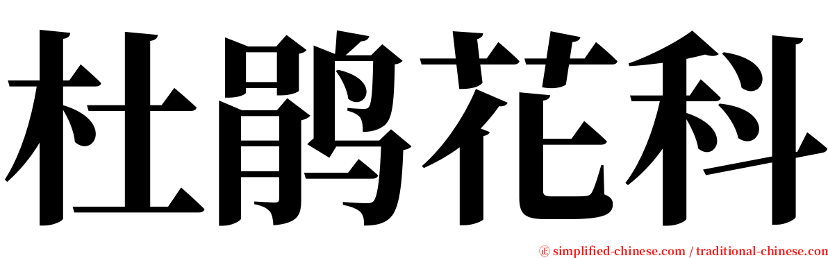 杜鹃花科 serif font