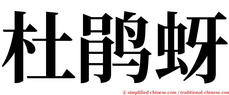 杜鹃蚜 serif font