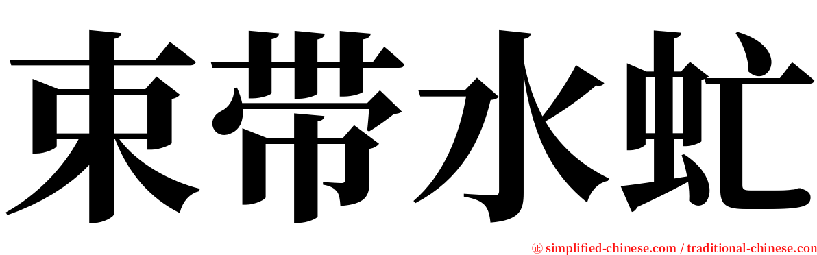 束带水虻 serif font