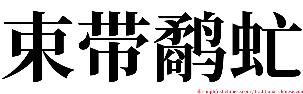 束带鹬虻 serif font