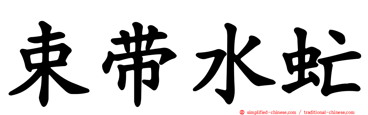 束带水虻