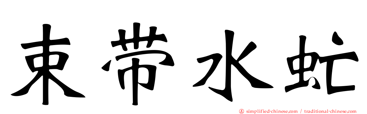 束带水虻