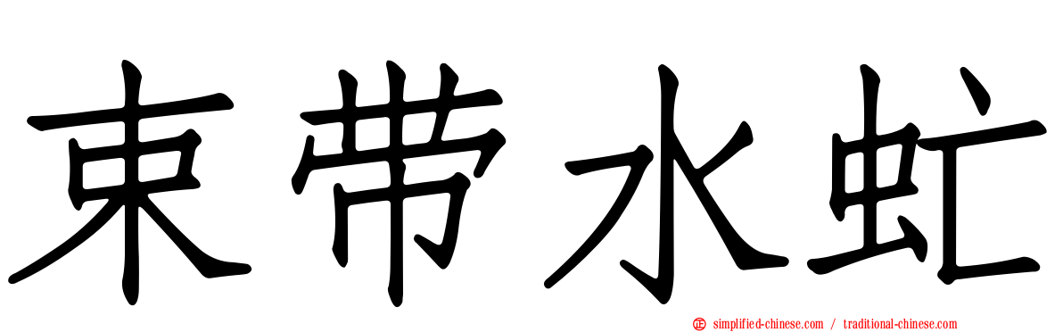 束带水虻