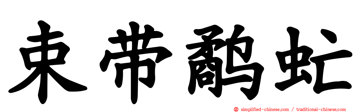 束带鹬虻