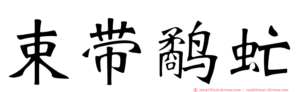 束带鹬虻