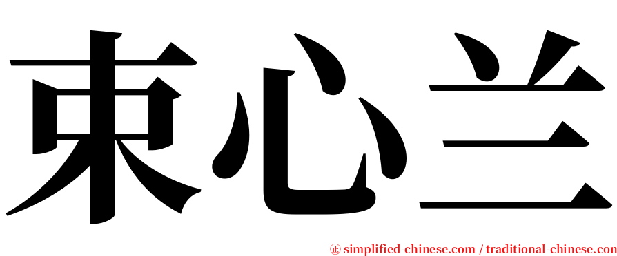 束心兰 serif font