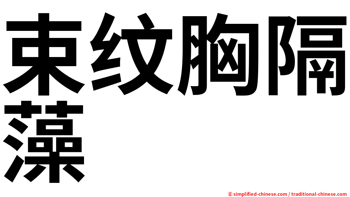 束纹胸隔藻