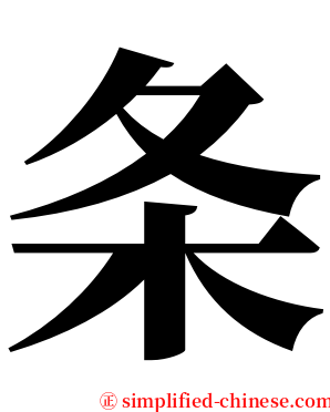 条 serif font