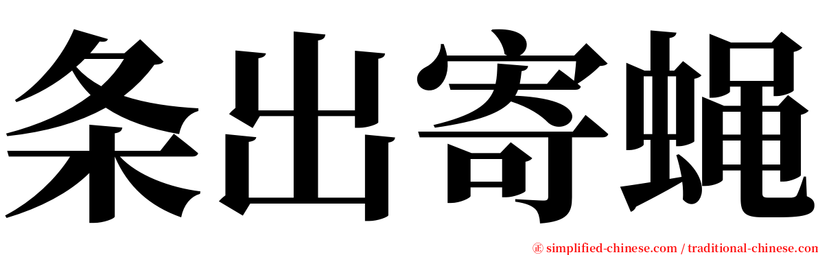 条出寄蝇 serif font
