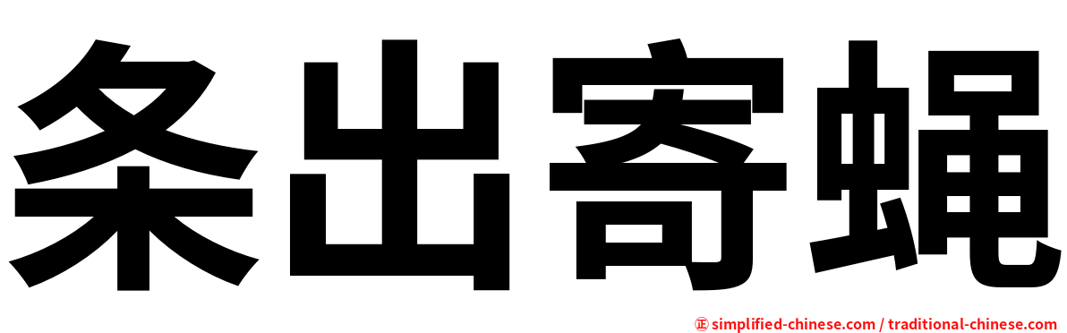 条出寄蝇
