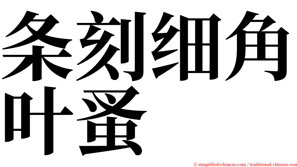 条刻细角叶蚤 serif font