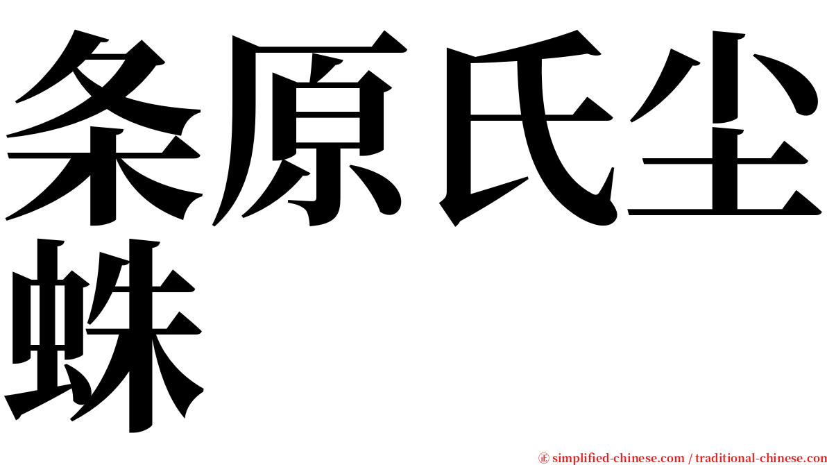 条原氏尘蛛 serif font