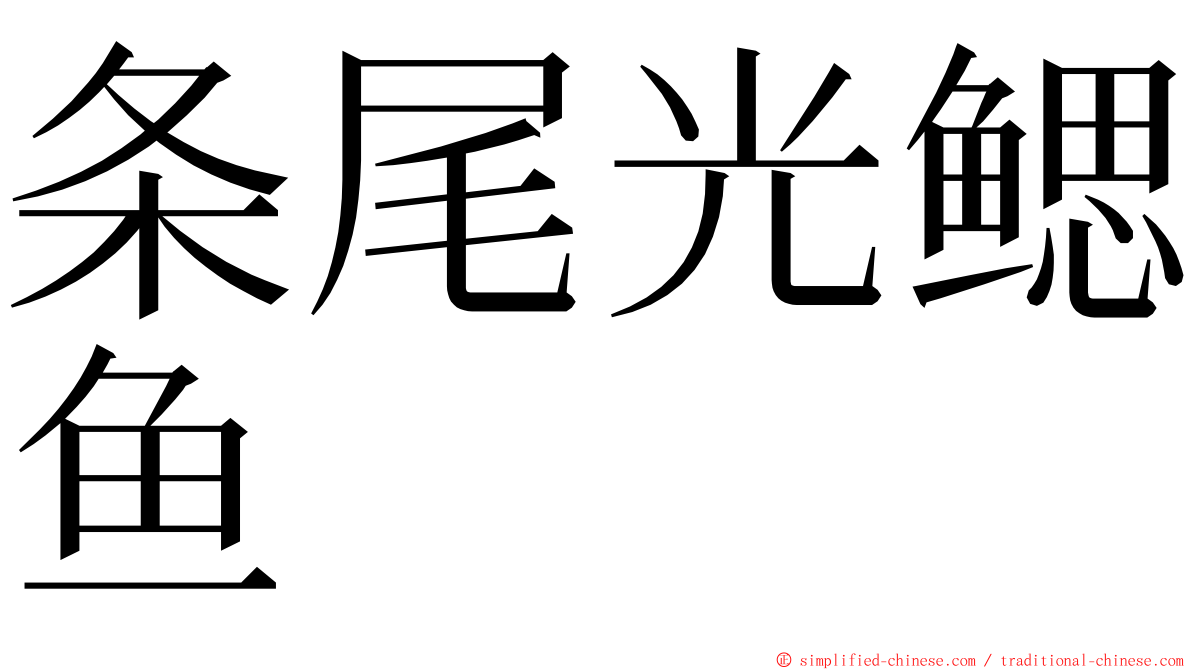 条尾光鳃鱼 ming font
