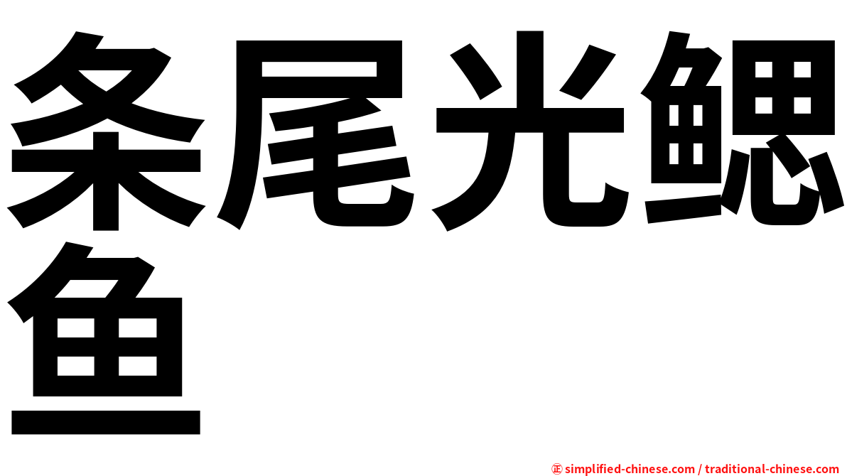 条尾光鳃鱼