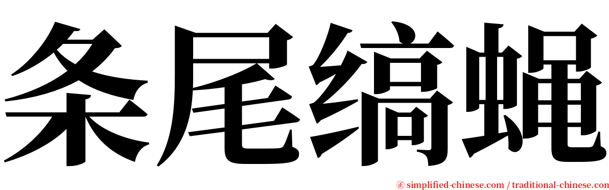 条尾缟蝇 serif font