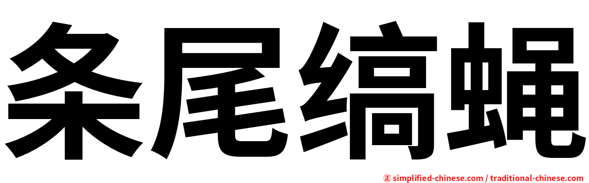 条尾缟蝇