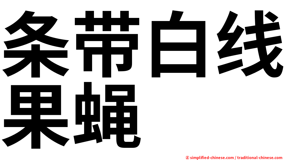 条带白线果蝇