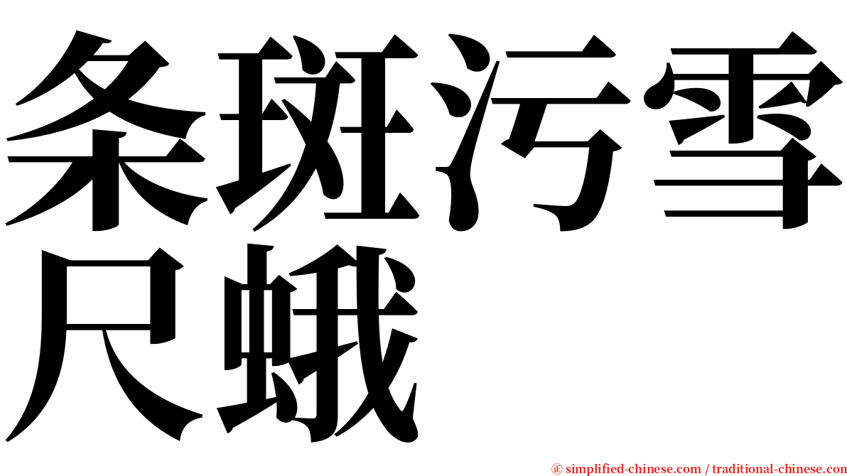 条斑污雪尺蛾 serif font