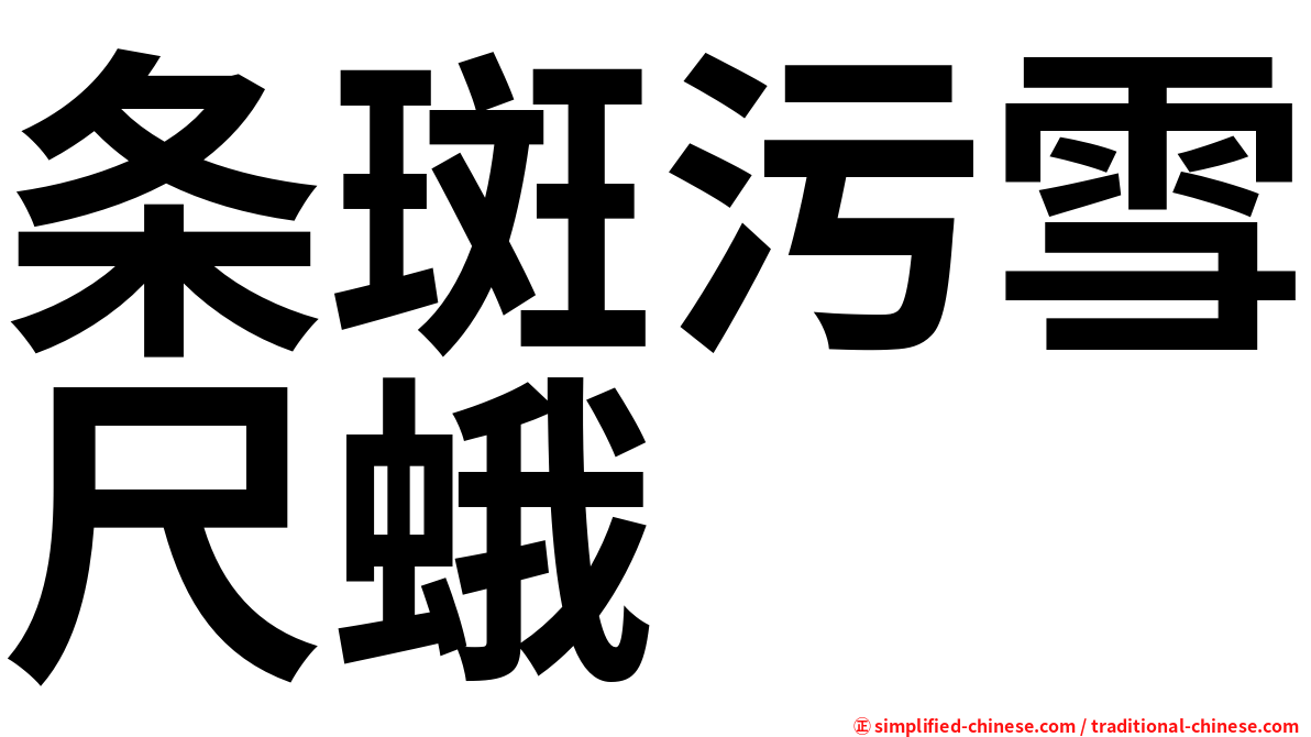 条斑污雪尺蛾