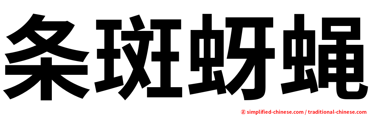 条斑蚜蝇