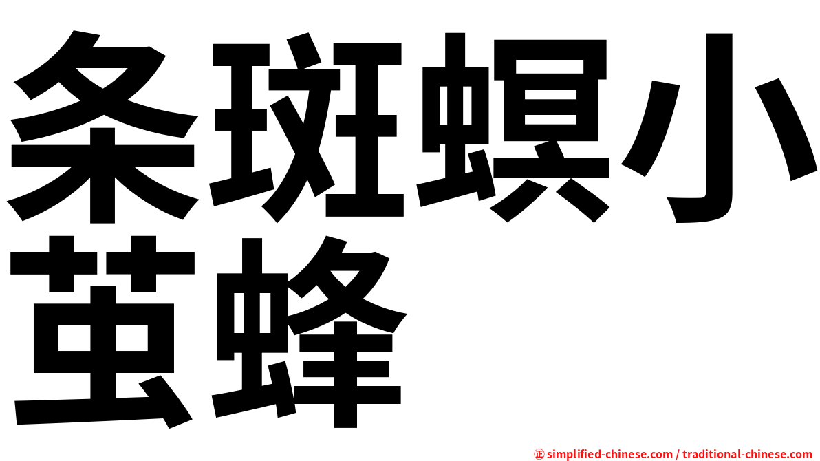条斑螟小茧蜂