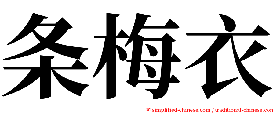 条梅衣 serif font