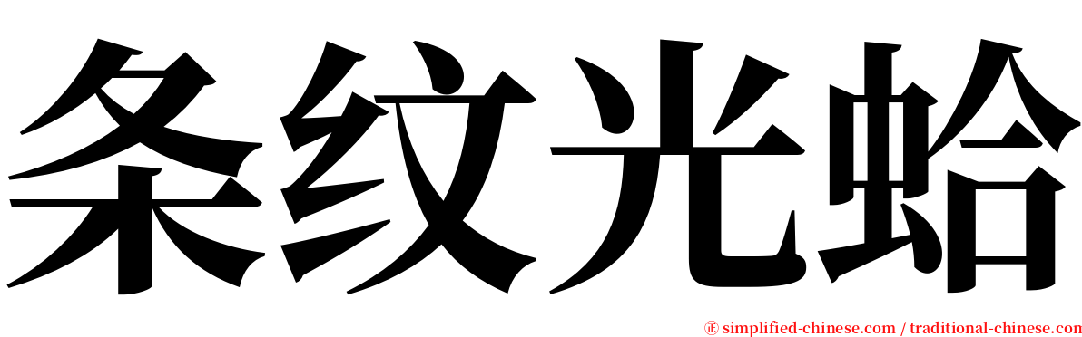 条纹光蛤 serif font