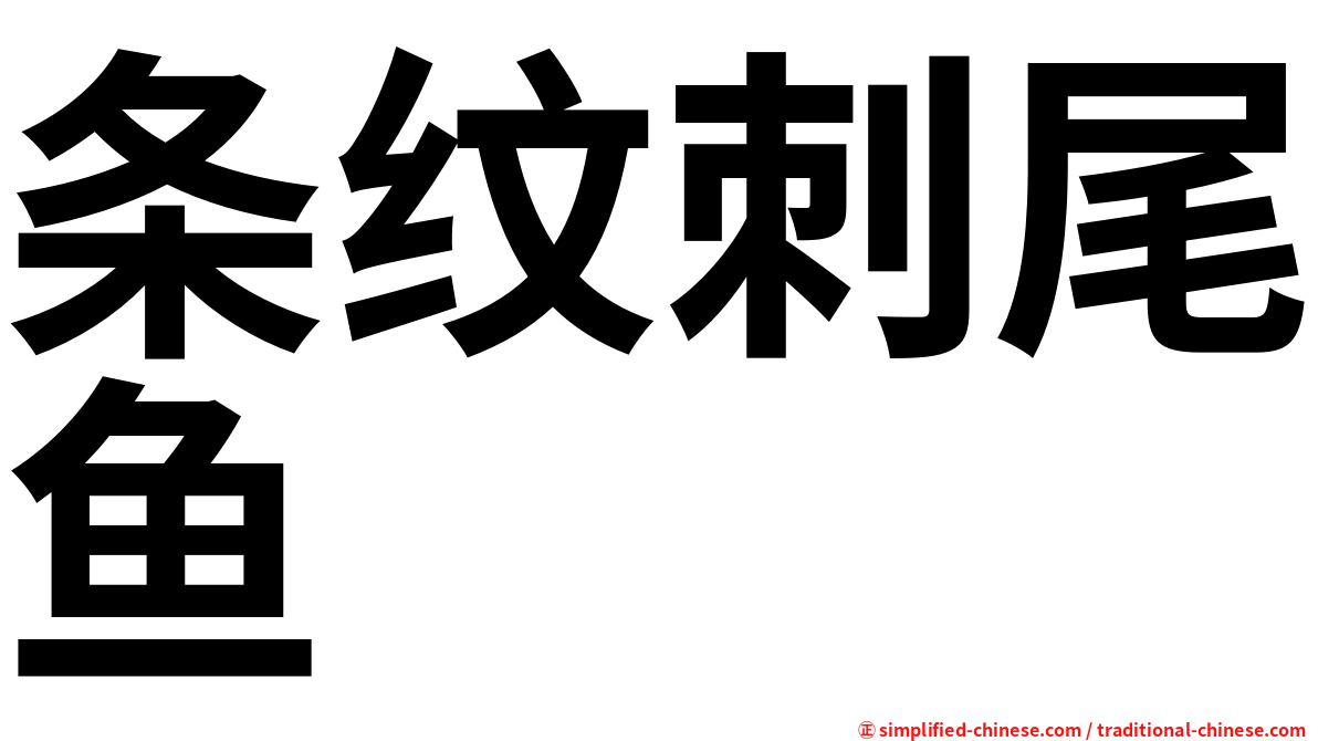 条纹刺尾鱼