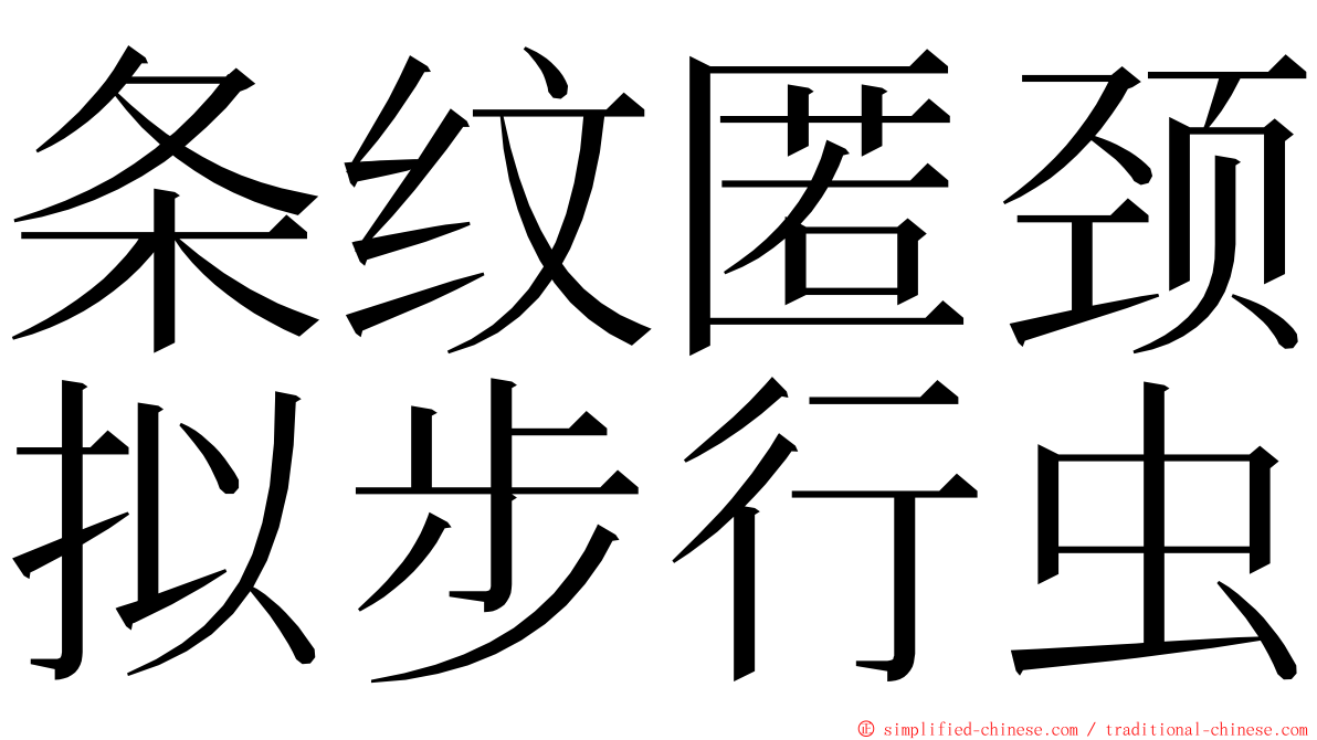 条纹匿颈拟步行虫 ming font