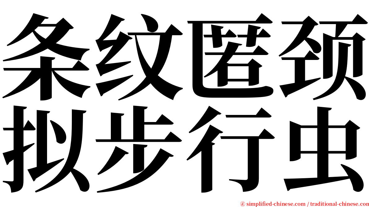 条纹匿颈拟步行虫 serif font