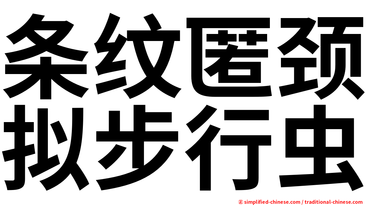 条纹匿颈拟步行虫
