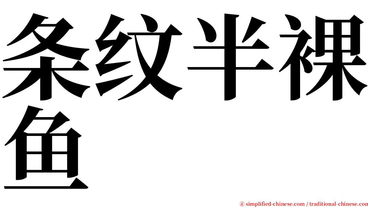 条纹半裸鱼 serif font