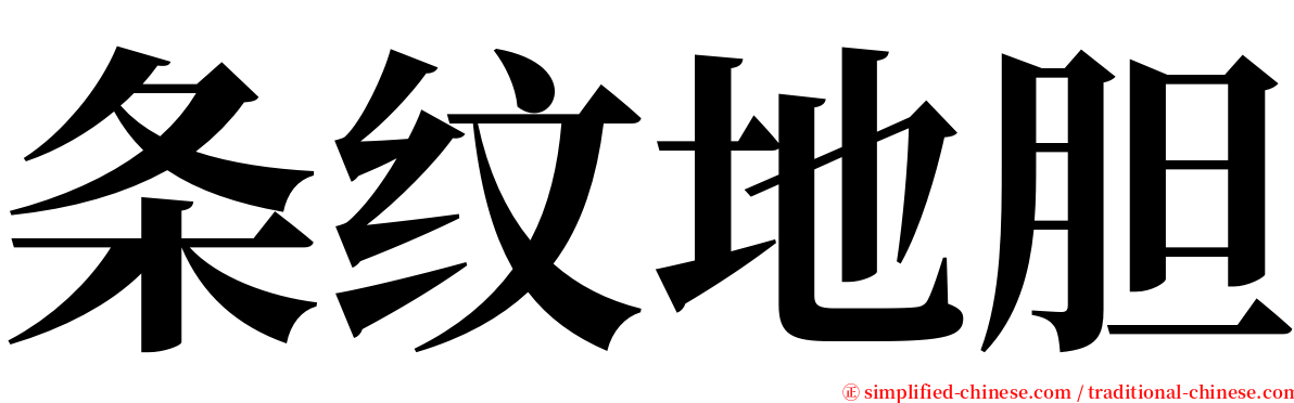 条纹地胆 serif font
