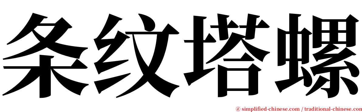 条纹塔螺 serif font