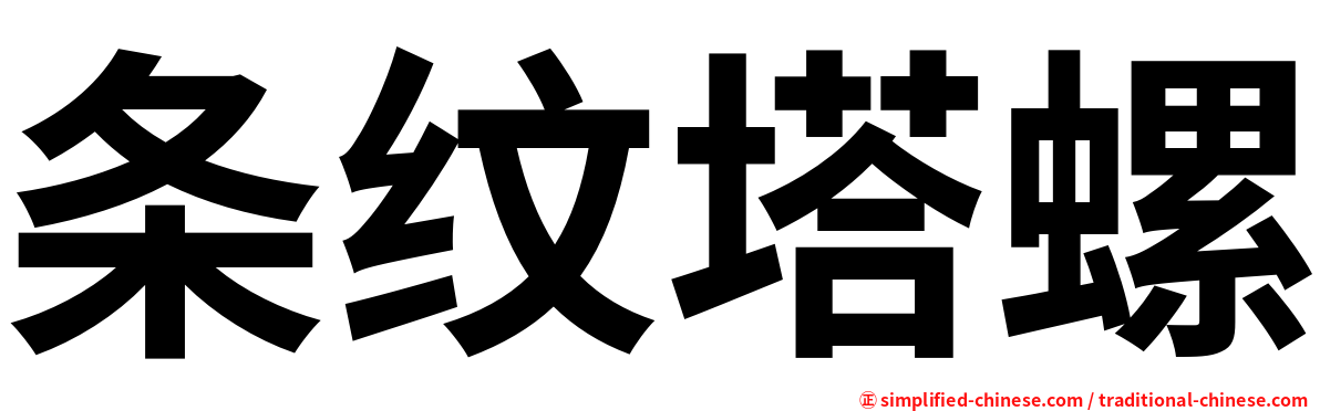 条纹塔螺
