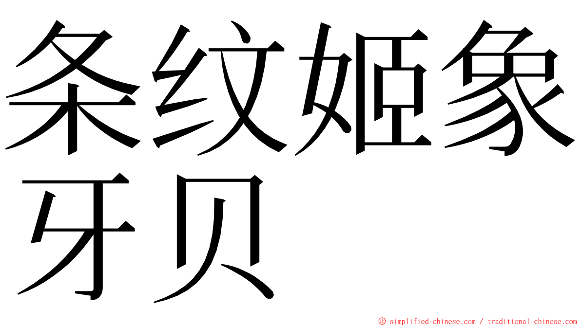 条纹姬象牙贝 ming font
