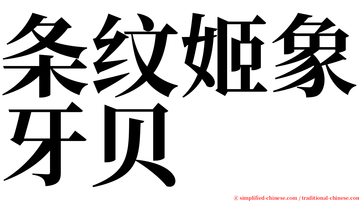 条纹姬象牙贝 serif font