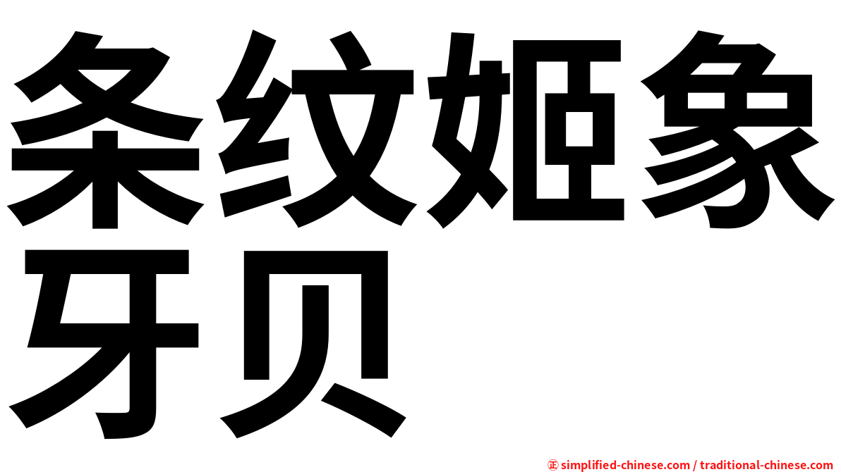 条纹姬象牙贝