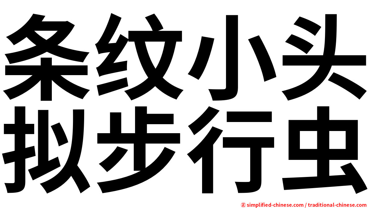 条纹小头拟步行虫