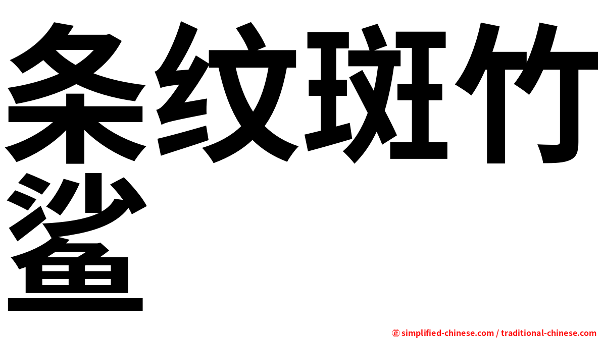 条纹斑竹鲨
