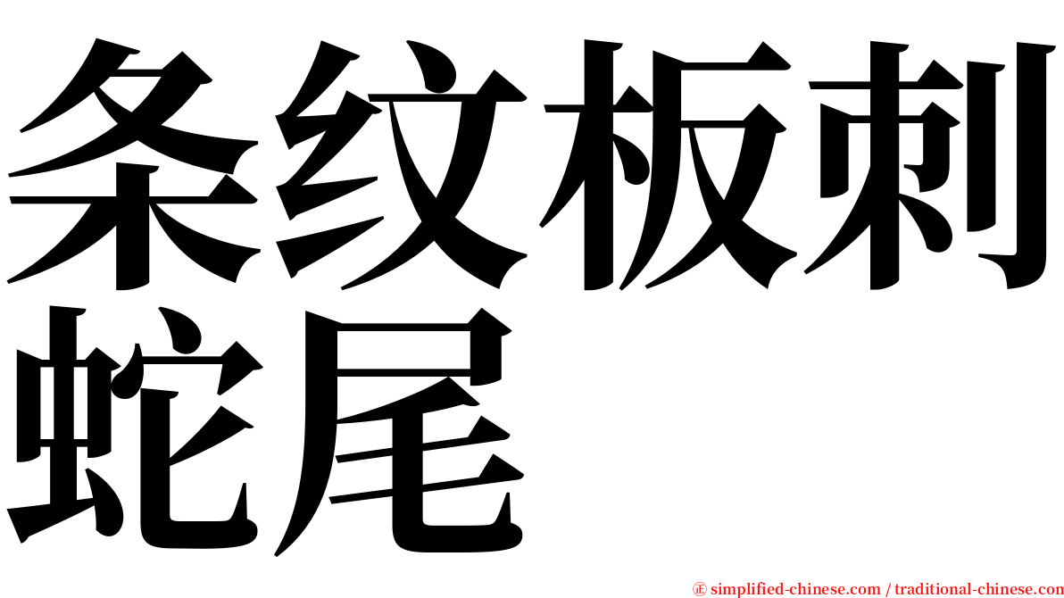条纹板刺蛇尾 serif font