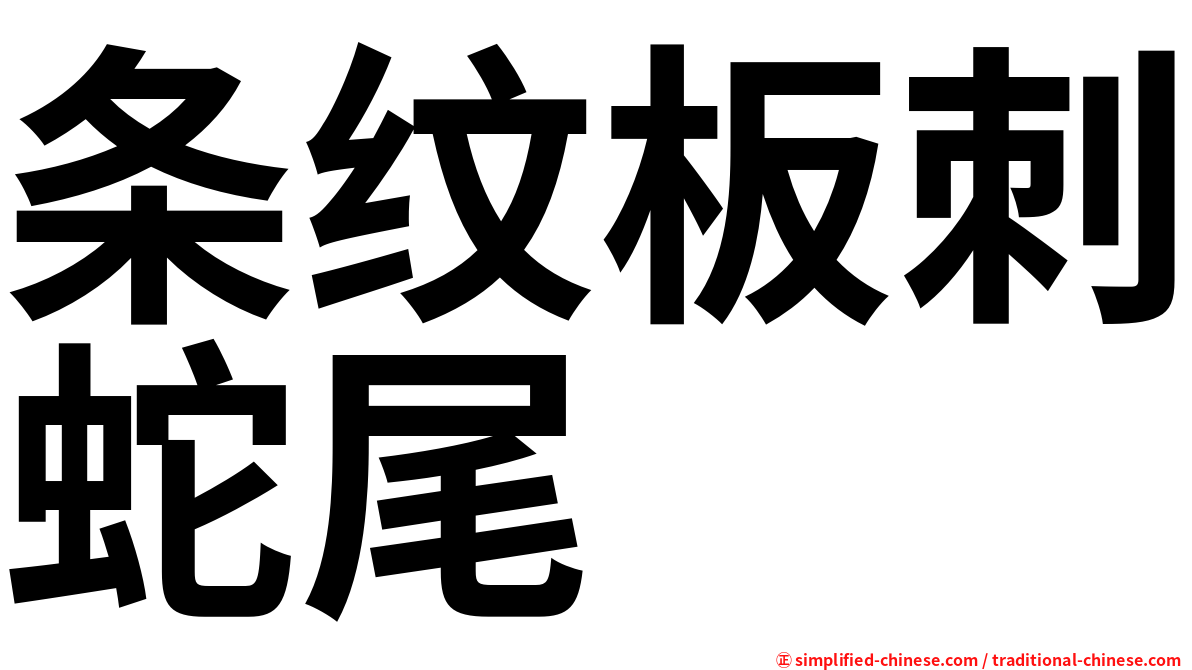 条纹板刺蛇尾