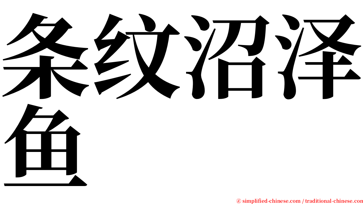 条纹沼泽鱼 serif font