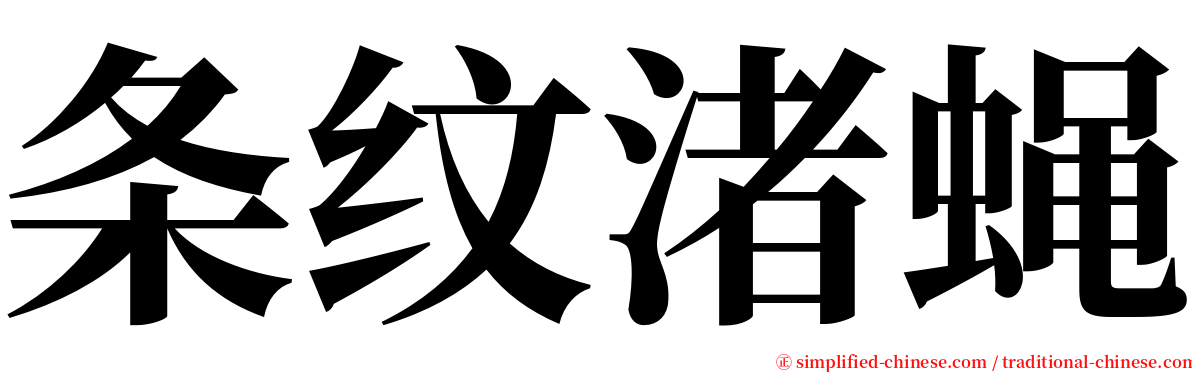 条纹渚蝇 serif font