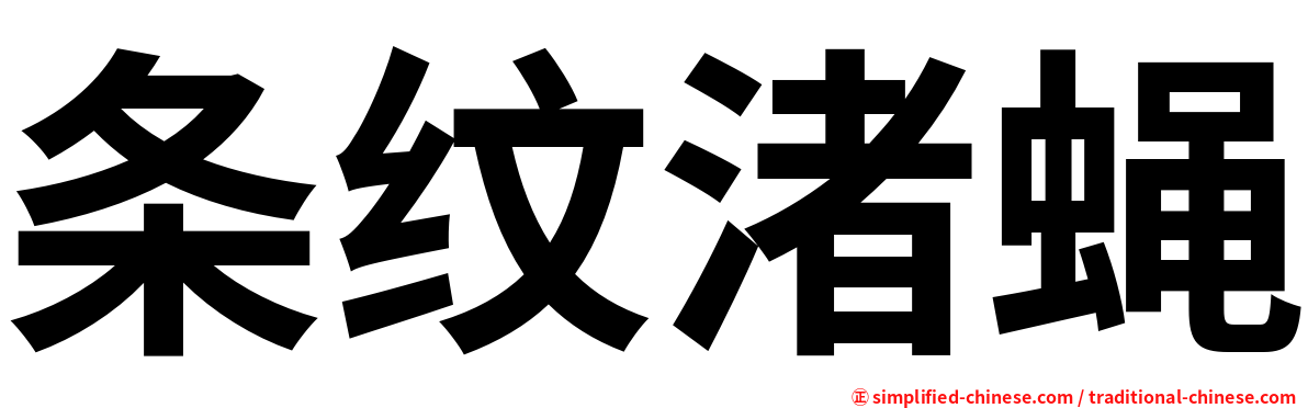条纹渚蝇
