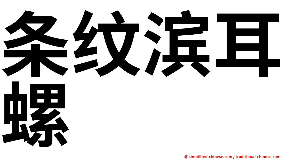 条纹滨耳螺