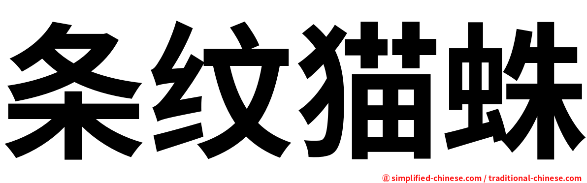 条纹猫蛛