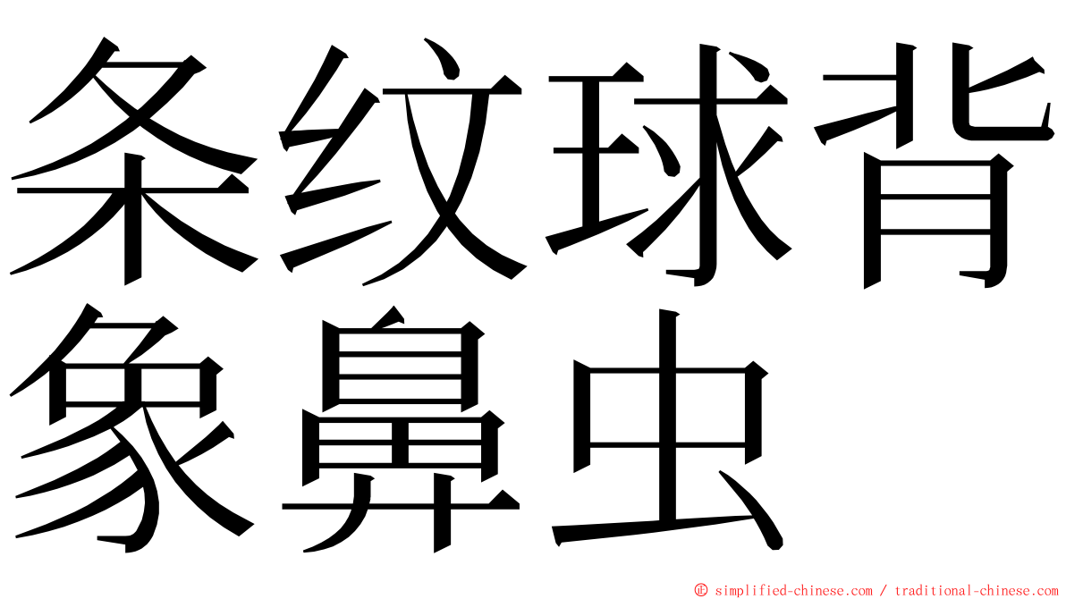 条纹球背象鼻虫 ming font