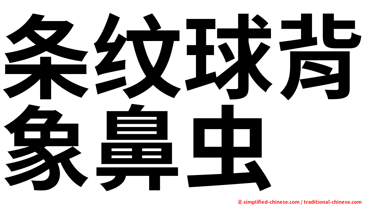 条纹球背象鼻虫