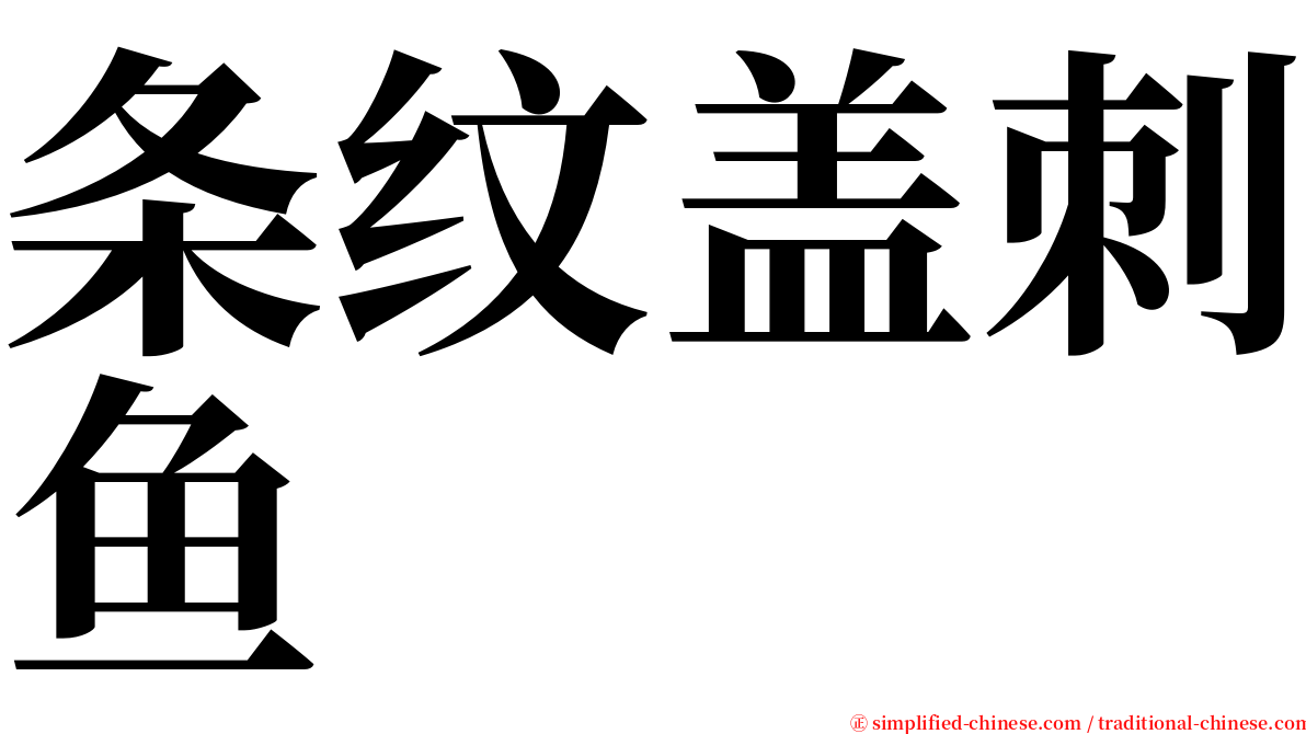 条纹盖刺鱼 serif font